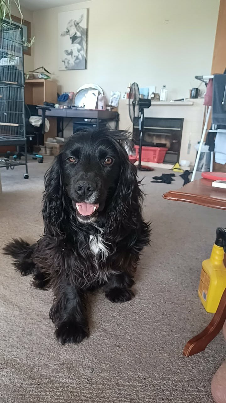 bf7e47df-e1c0-4fca-99d4-6896c13b786c